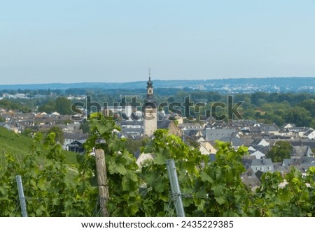 View to Ruedesheim on the rhine in Germany Royalty-Free Stock Photo #2435229385
