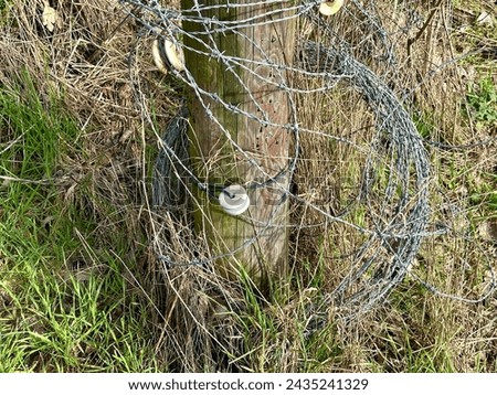 Metallic fence waste farming military area