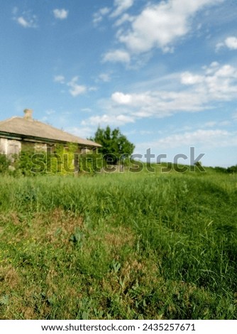 Green grass against the background of an old house in the village with closed wooden shutters and a slate roof, from childhood, a beautiful blue sky. Photo.