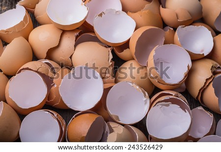 Eggshell on the wooden table