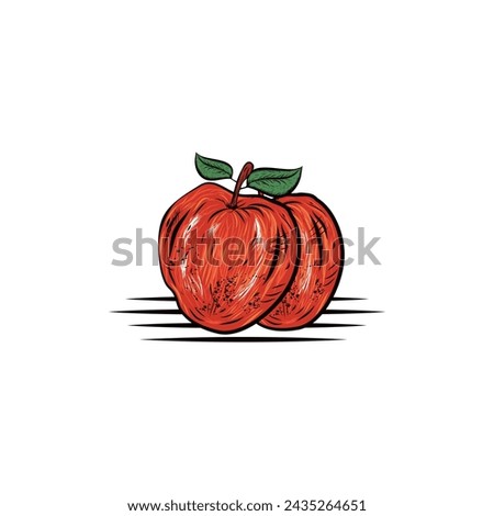 
Apple fruit drawing vintage clip art isolated on white background. Hand engraved style illustration. isolated