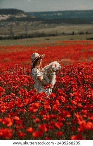 Field of poppies woman dog. Happy woman in a white dress and hat stand with her back through a blooming field of poppy with a white dog. Field of blooming poppies.