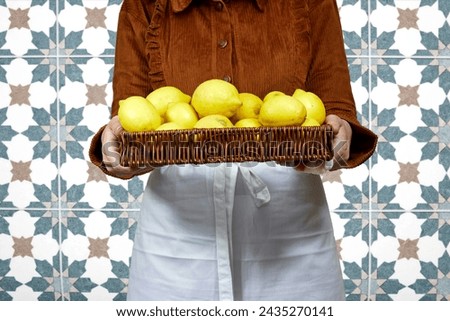 Woman holding halfah basket full of lemons, Gardening concept, lemonade advertisement