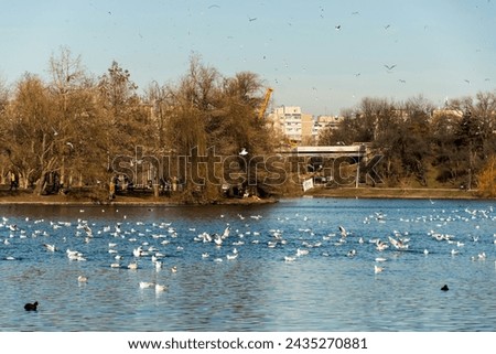 Tineretului park from Bucharest, Romania. Royalty-Free Stock Photo #2435270881