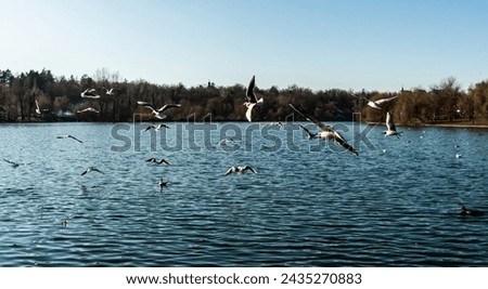 Tineretului park from Bucharest, winter day, Romania. Royalty-Free Stock Photo #2435270883