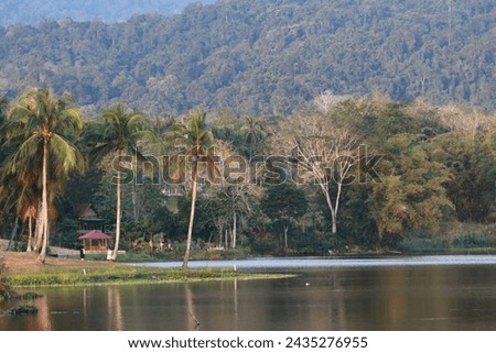 Coconut trees by the Lake with mountain views behind. Nature and vacation concept. Beautiful view.