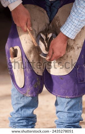 Close up of blacksmith or farrier working on horse hoof nailing shoe to horses foot after being trimmed head on view of shape of horses hoof and horse shoe blacksmith wearing purple  beige chaps   Royalty-Free Stock Photo #2435278051