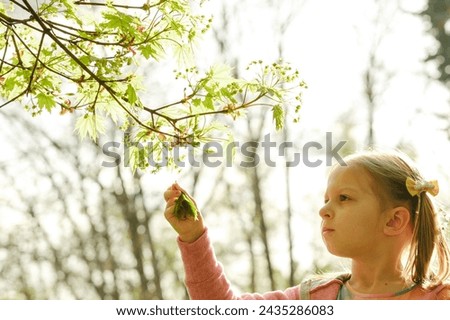Child picking leaf from the tree in spring in the forest. Girl walking in the park Royalty-Free Stock Photo #2435286083