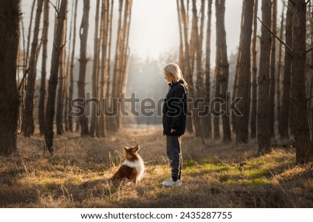 Young blonde girl standing with her small fluffy dog in sunny forest, bright sunlight on the background. Beautiful Sheltie keeps eye contact with his female owner. Horizontal picture, copy space. 