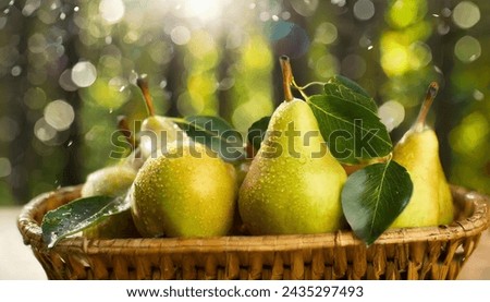 A bunch of red and green pears, in a wooden basket.