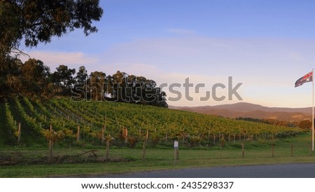 Australian flag flying over a vineyard in the Yarra Valley of Victoria, Australia