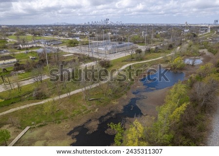 A view of New Orleans from a Swamp