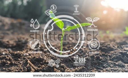 Agriculture technology farmer man using tablet computer analysis data and visual icon. vegetable seedlings in cultivated agricultural field with graphic concepts modern agricultural technology