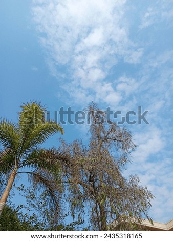 This is a picture in which there are two trees and sky and clouds in the sky. There is a big lovely view in this picture.