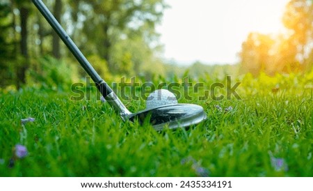 Golf ball and golf club in a beautiful golf course at sunset background. Collection of golf equipment resting on green grass with green background                               