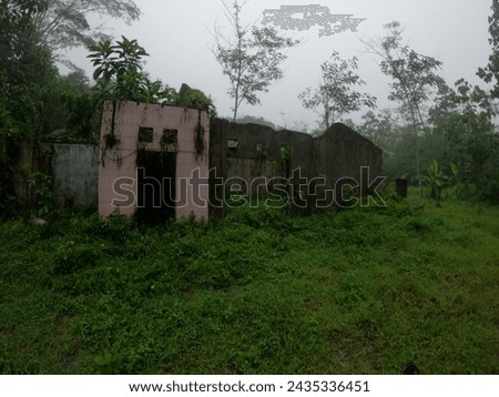 Old Ruined House in the Rainforest
