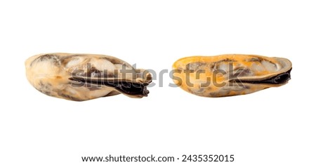 Front view or side view of steamed or cooked mussels without shell is isolated on white background with clipping path. Royalty-Free Stock Photo #2435352015
