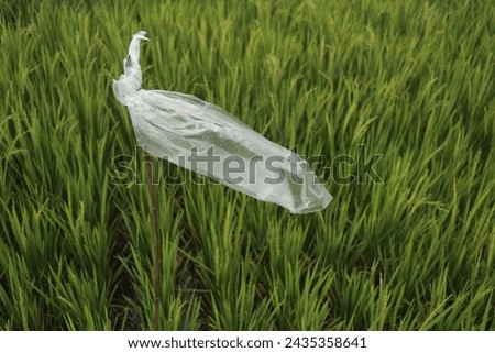 a white plastic flag that is stuck into the soil of a farmer's paddy field so that it is blown by the wind and can repel bird pests.