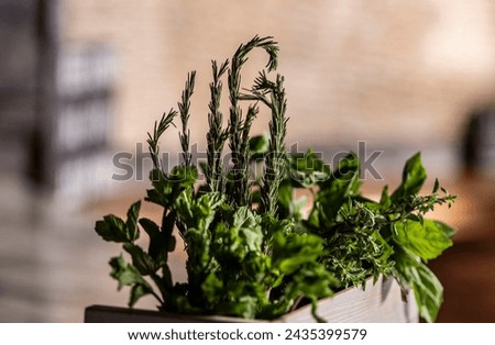 Various herbs in wood box indoors