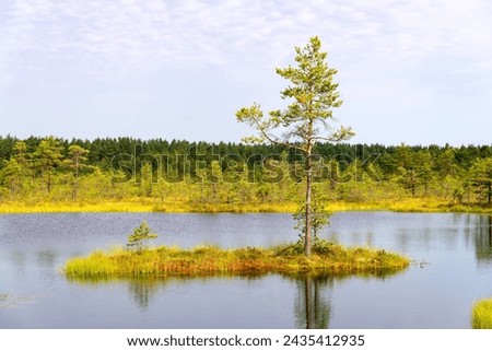 Viru bogs at Lahemaa national park. Must see place in Estonia Royalty-Free Stock Photo #2435412935