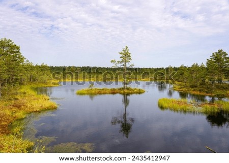 Viru bogs at Lahemaa national park. Must see place in Estonia Royalty-Free Stock Photo #2435412947