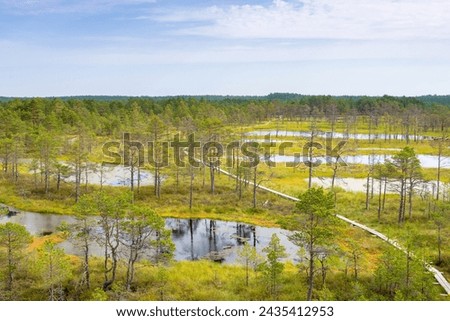 Viru bogs at Lahemaa national park. Must see place in Estonia Royalty-Free Stock Photo #2435412953