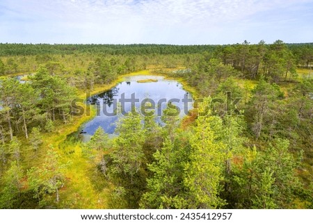 Viru bogs at Lahemaa national park. Must see place in Estonia Royalty-Free Stock Photo #2435412957