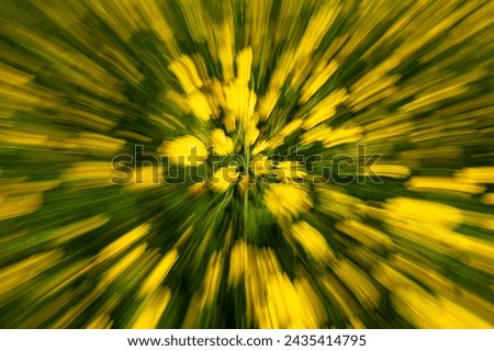 Abstract picture of wildflowers.
Spring in Israel, wild flowering of field frames