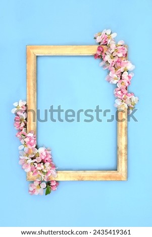 Apple blossom flower spring background gold frame on blue. Floral, nature, seasonal abstract Beltane springtime composition.   Royalty-Free Stock Photo #2435419361