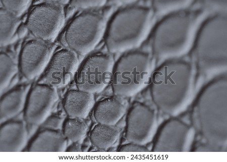 High-quality material, expensive leather goods, snake skin, material for handbags and shoes, precious shoes and bags for women and men, high fashion, High-quality material, Expensive leather goods Royalty-Free Stock Photo #2435451619