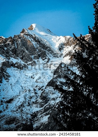 Capture the serenity of winter with this breathtaking photo of a snow-capped mountain towering over a peaceful forest.