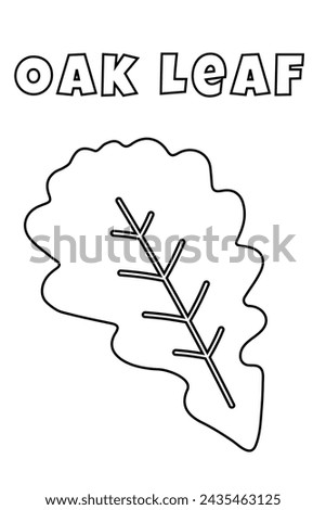 Coloring With Thick Lines For The Smallest Ones, Oak Leaf Coloring Page