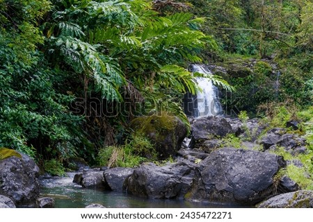 Lush waterfalls in Maui, HI while on Road to Hana