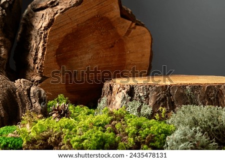 Composition with natural wood, moss and lichen for advertising eco products. Place your product on a pine stump. Copy space.