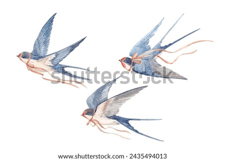Stock illustration with watercolor hand drawn swallow martin birds. Clip art.