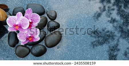 Pink orchid flowers and spa stones on a gray background, space for a text.