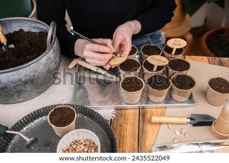 Sowing seeds in a peat pot, filling the pot with soil, planting vegetables yourself
