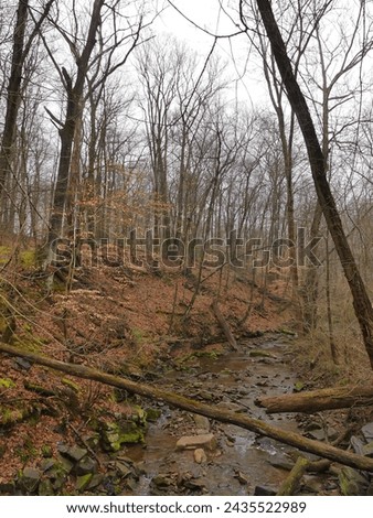 A winter stream on a bleak winter day. Royalty-Free Stock Photo #2435522989