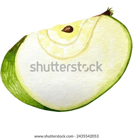 Tasty green watercolor apple. Hand drawn illustration of the isolated quater green apple on the white background. Autumn fruits harvest clip art for package design.