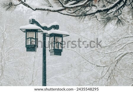 Black lamppost in a snowy scene.