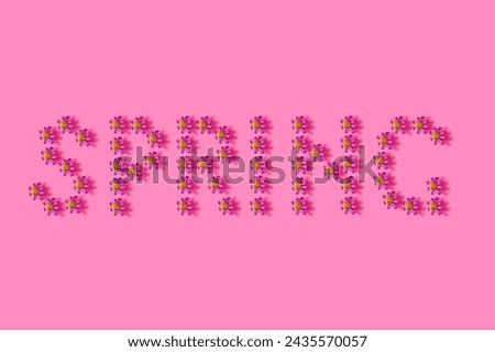 Spring creative concept. Pink flowers on pink background. Creative color background, top view, copy space