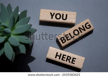 You belong here symbol. Wooden blocks with words You belong here. Beautiful grey background with succulent plant. Business and You belong here concept. Copy space.