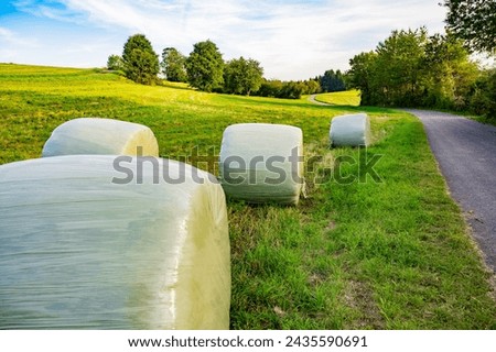 Bales of hay wrapped in plastic wrap in the field close up. Livestock feed and plant and straw processing