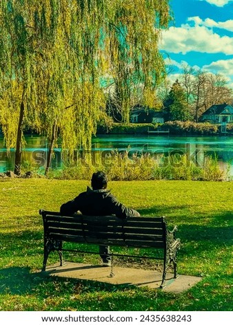 Bright Sunny day. Man siting on a bench. Beautiful and sunny outdoor park.