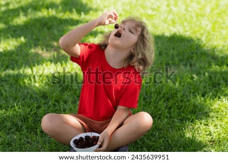 Cherry for kids. Child hold plate cherries on summer green grass background. Summer background with green grass.