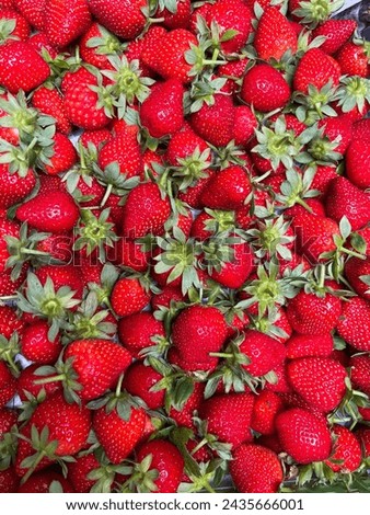  red, ripe strawberries with leaves background  Royalty-Free Stock Photo #2435666001