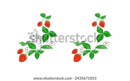 Images of strawberry branches (with a tabby cat, one of them) for clip art and illustration frame, including red ripe berries, green leaves, and tiny white flowers with grunge stamp effect.