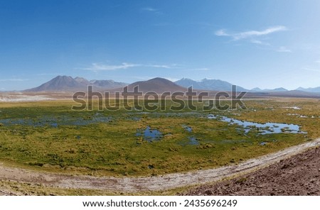 Scenic wetlands Vado Rio Putana between San Pedro de Atacama and the geysers of El Tatio in the Atacama desert in Chile, South America. Royalty-Free Stock Photo #2435696249