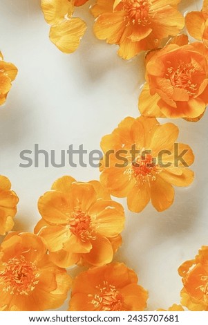 Spring summer seasonal styling, delicate small flowers peony yellow orange colored in water, floral background, nature design flat lay photo, natural blossoming blooms, creative top view composition