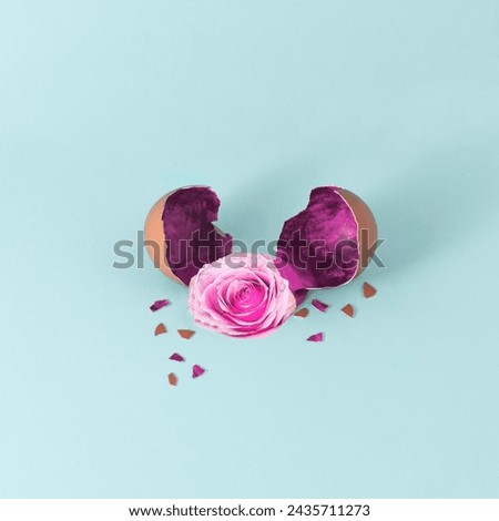 Broken easter eggs with pink flower on blue background. Creative eggshell with copy space. Easter holiday concept.